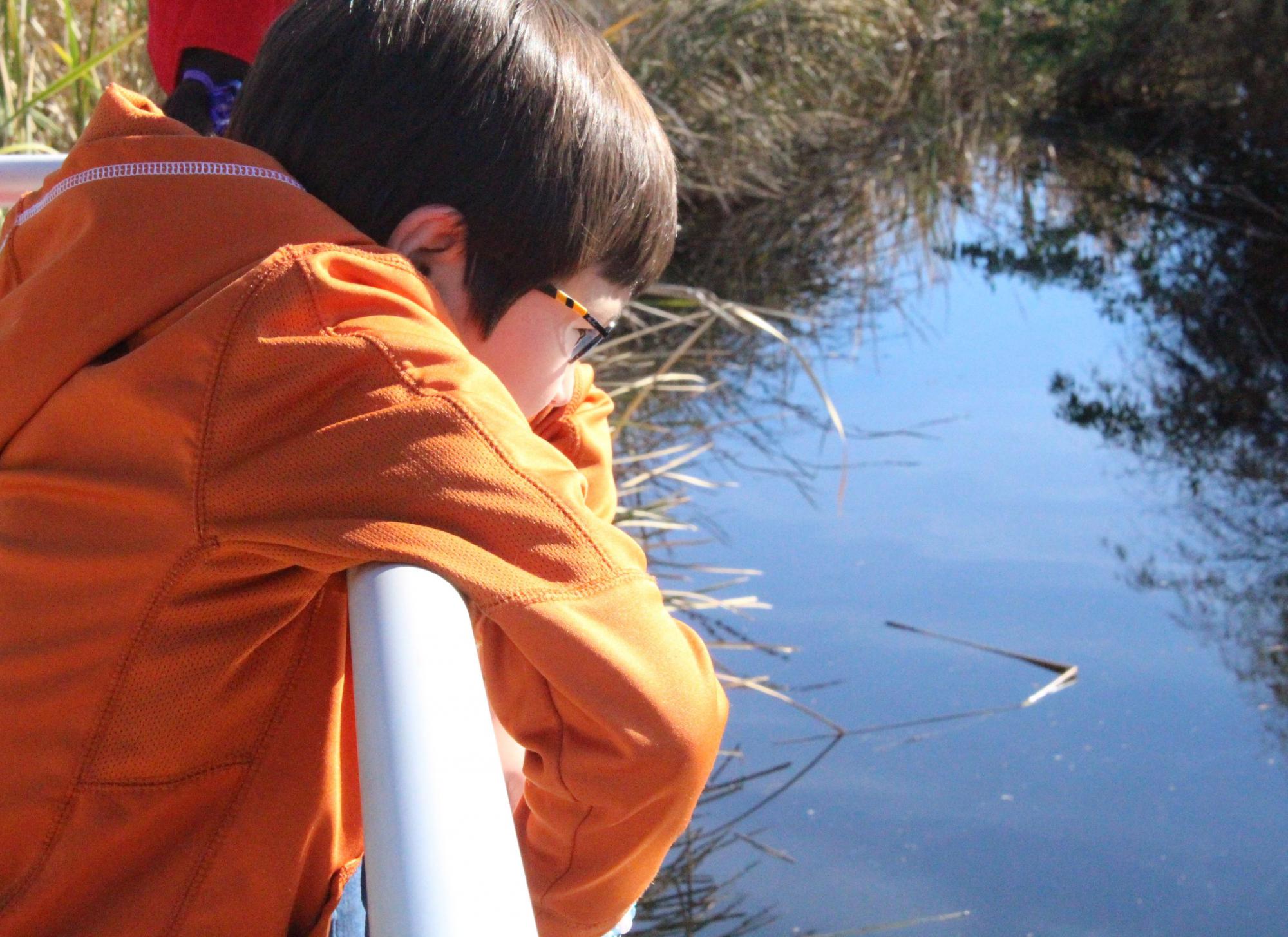 Photo of Student Looking at Sweetwater Wetlands Pond