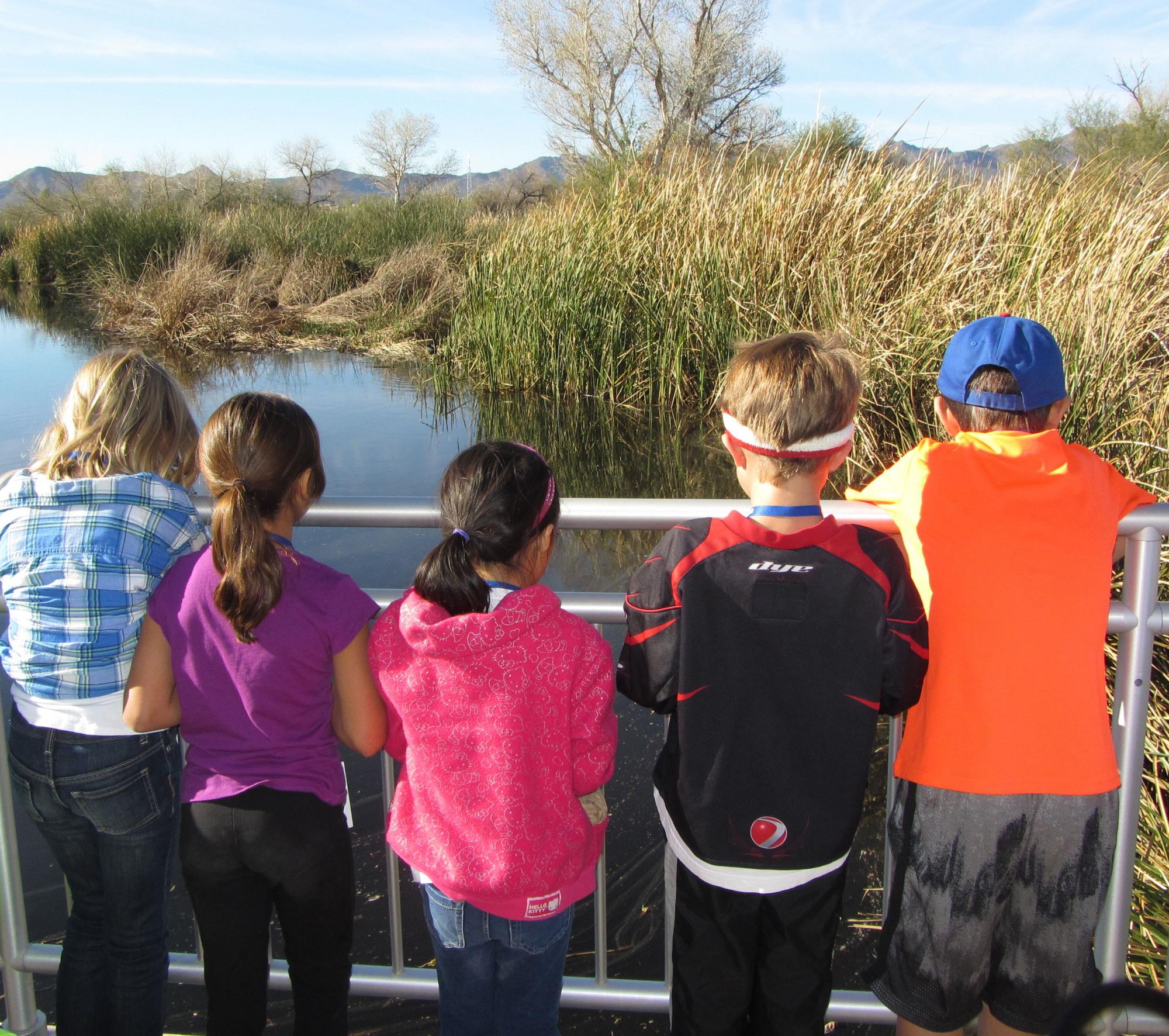 Photo of Students Looking at Sweetwater Wetlands Pond