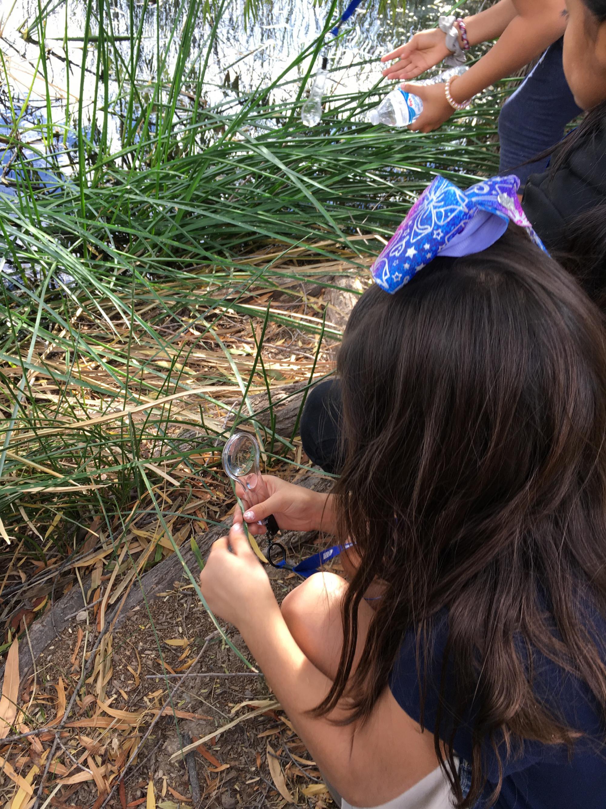 Photo of Student Observing Nature at Sweetwater Wetlands