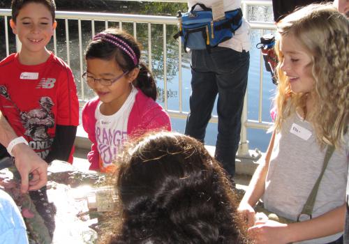 Photo of Students at Watershed Station in Sweetwater Wetlands