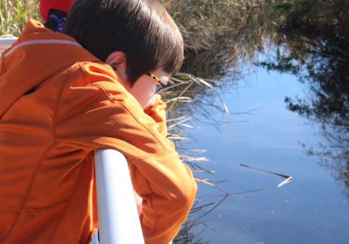 Photo of Student Looking at Sweetwater Wetlands Pond